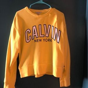 calvin klein sweater